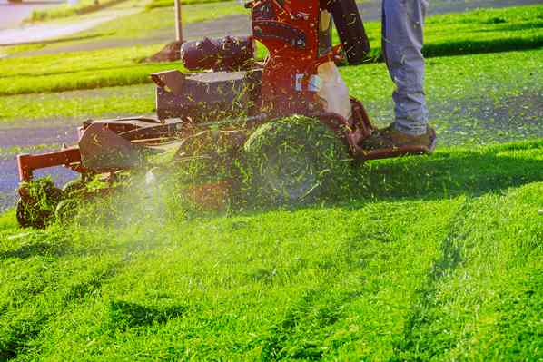 Professional lawn mower