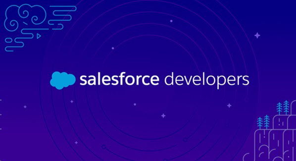 Salesforce Developers