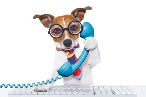 Telephone Dog