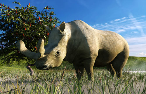 Don't become extinct