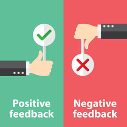Customer Feedback