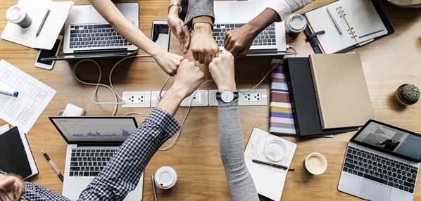 SEO team working together