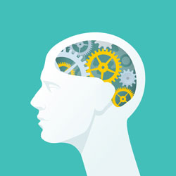 Human perception