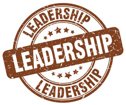 Test your leadership