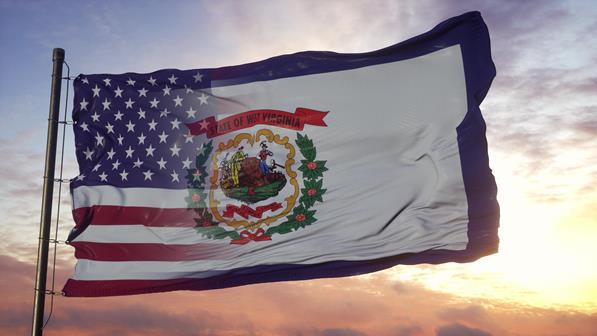 Virginia flag